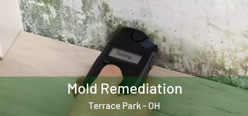  Mold Remediation Terrace Park - OH