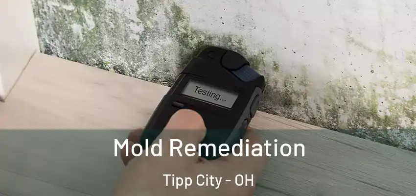  Mold Remediation Tipp City - OH