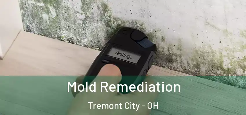 Mold Remediation Tremont City - OH
