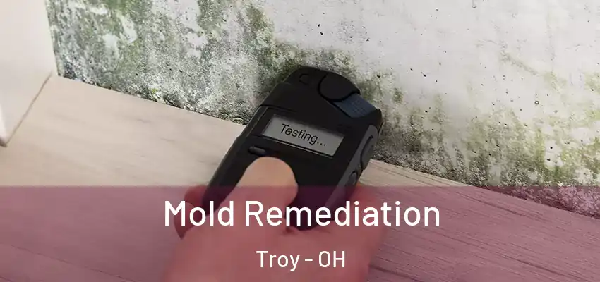 Mold Remediation Troy - OH