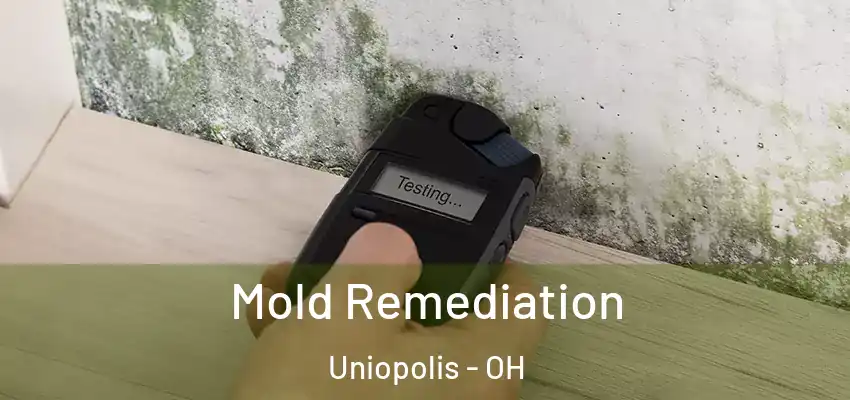  Mold Remediation Uniopolis - OH