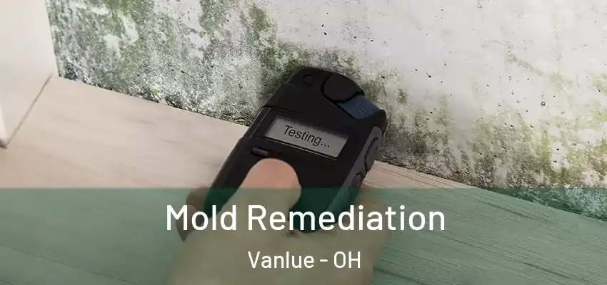 Mold Remediation Vanlue - OH