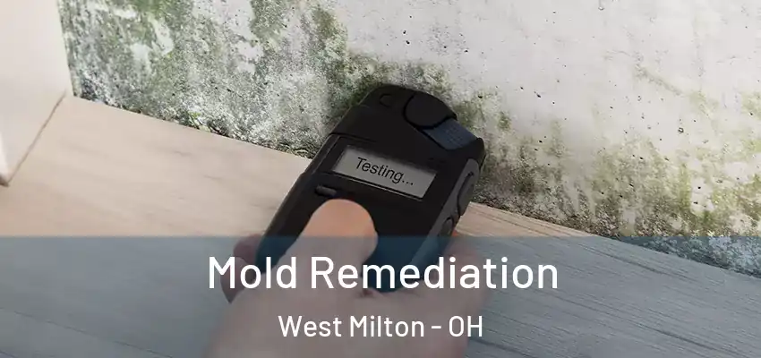 Mold Remediation West Milton - OH