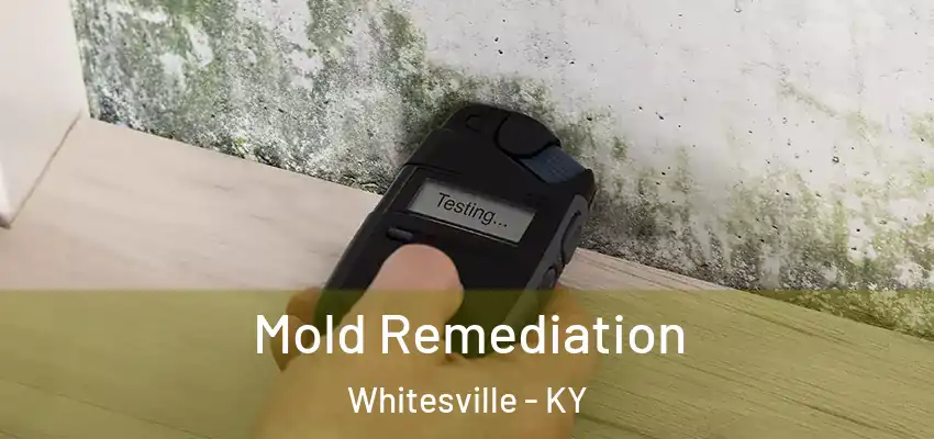Mold Remediation Whitesville - KY