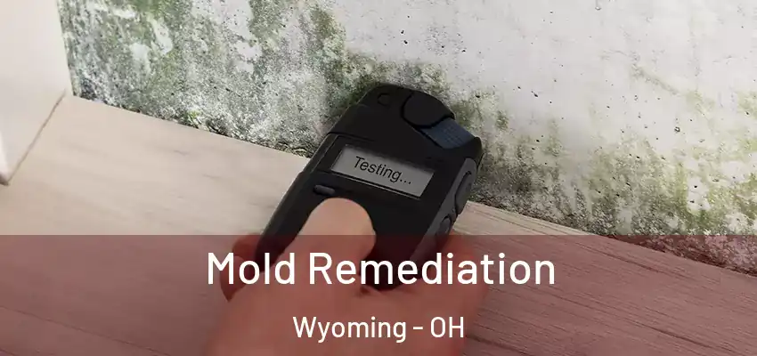  Mold Remediation Wyoming - OH