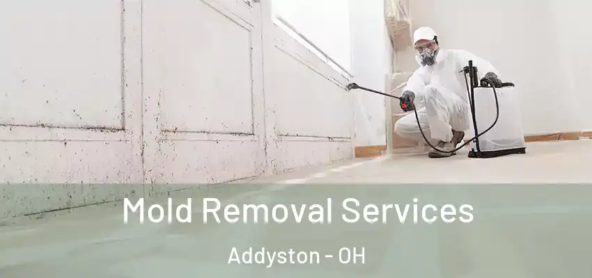 Mold Removal Services Addyston - OH