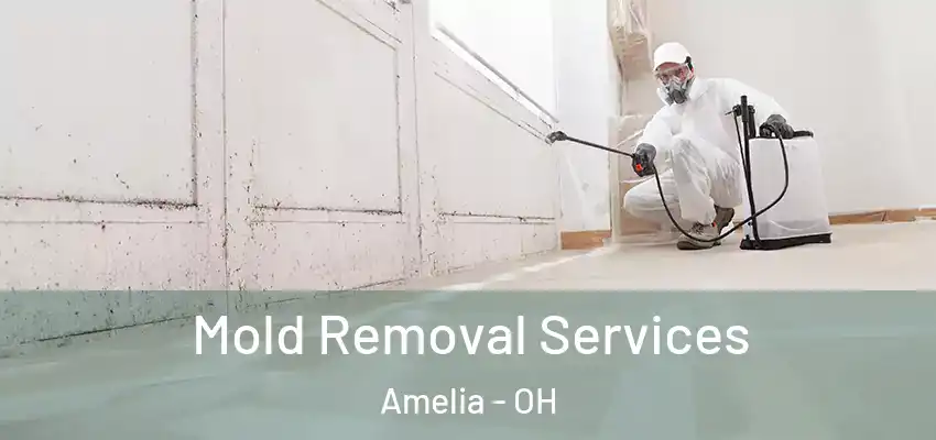 Mold Removal Services Amelia - OH
