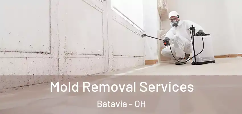 Mold Removal Services Batavia - OH