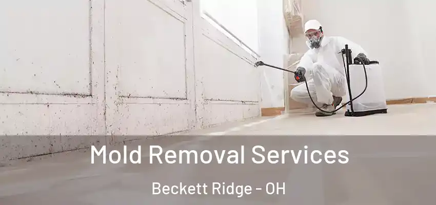 Mold Removal Services Beckett Ridge - OH