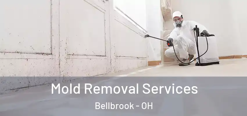 Mold Removal Services Bellbrook - OH