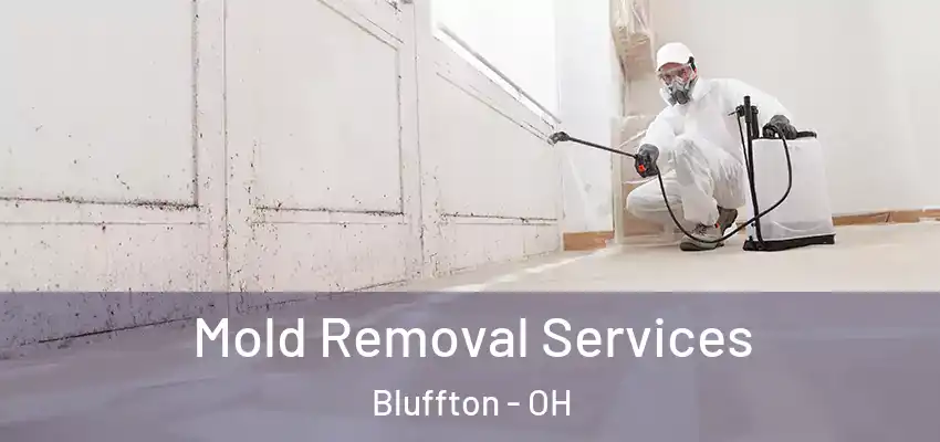 Mold Removal Services Bluffton - OH