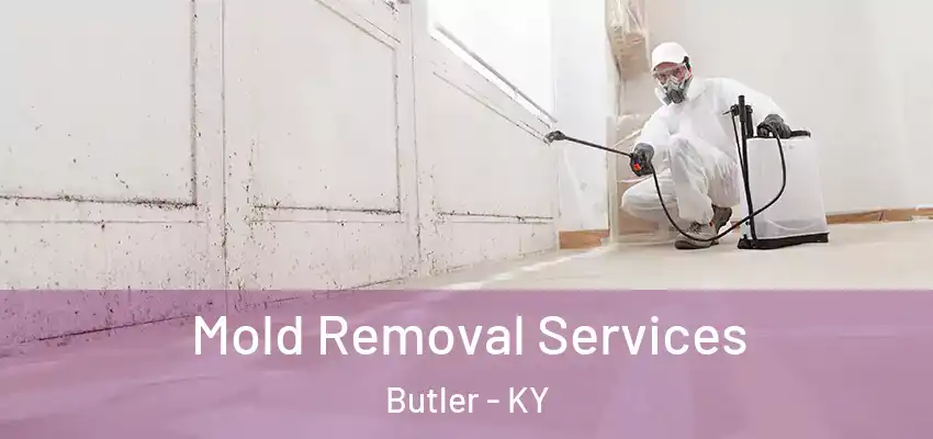  Mold Removal Services Butler - KY