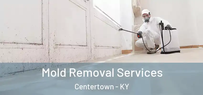Mold Removal Services Centertown - KY