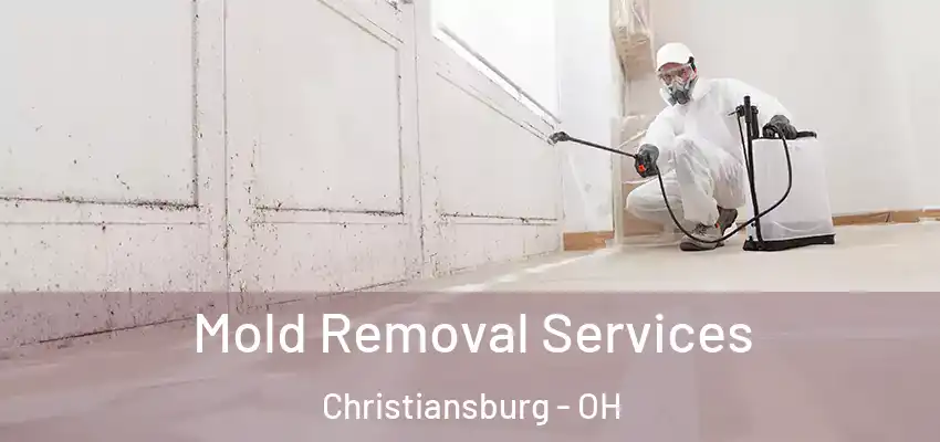 Mold Removal Services Christiansburg - OH