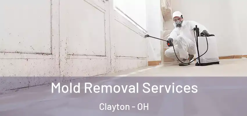  Mold Removal Services Clayton - OH