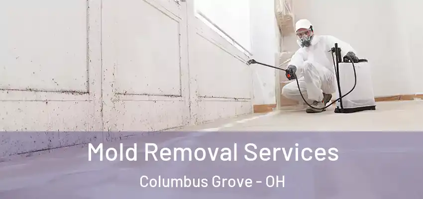 Mold Removal Services Columbus Grove - OH