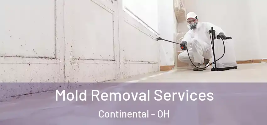 Mold Removal Services Continental - OH