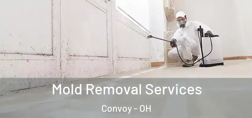 Mold Removal Services Convoy - OH