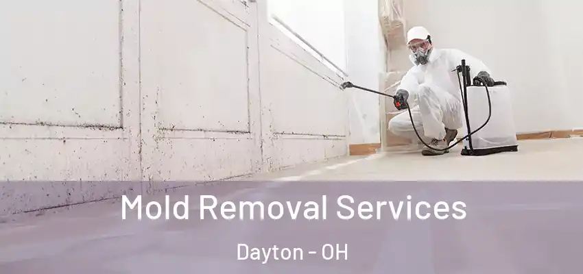  Mold Removal Services Dayton - OH