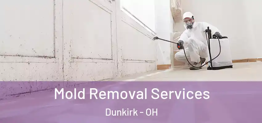 Mold Removal Services Dunkirk - OH