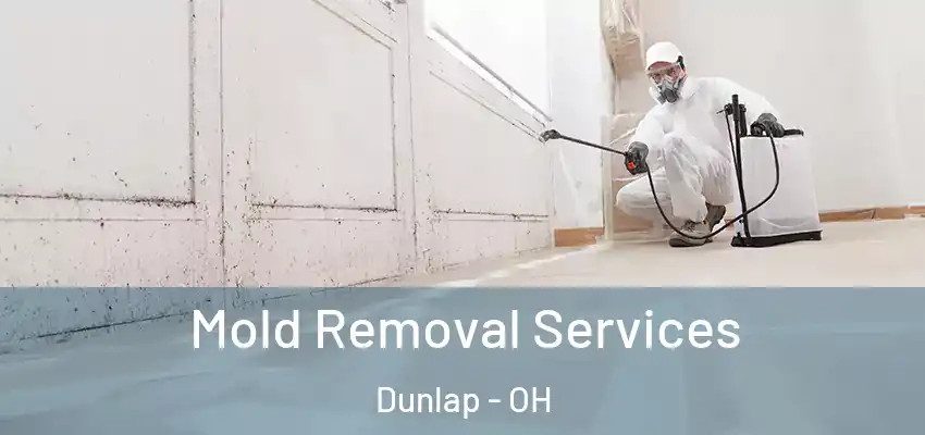 Mold Removal Services Dunlap - OH