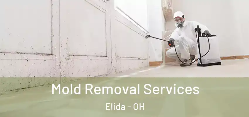 Mold Removal Services Elida - OH