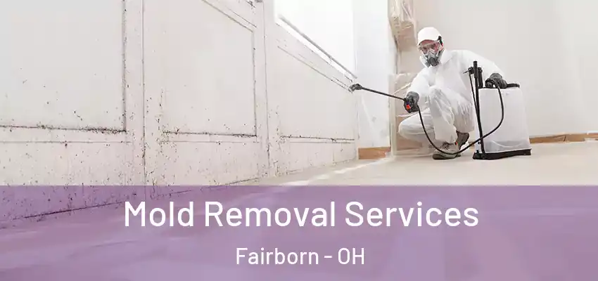 Mold Removal Services Fairborn - OH