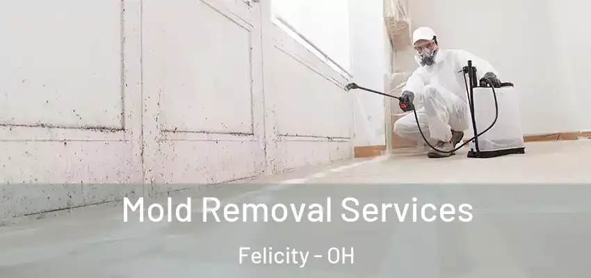 Mold Removal Services Felicity - OH
