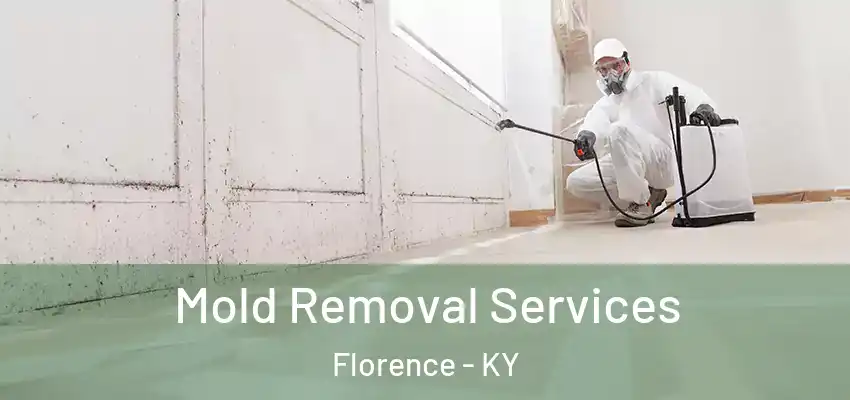 Mold Removal Services Florence - KY