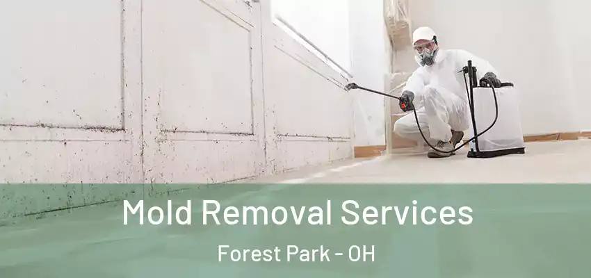 Mold Removal Services Forest Park - OH