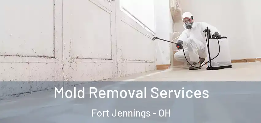  Mold Removal Services Fort Jennings - OH