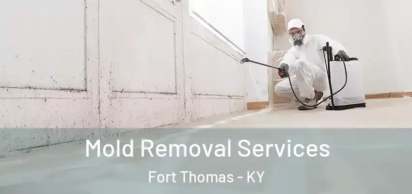Mold Removal Services Fort Thomas - KY