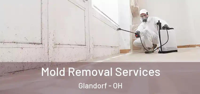  Mold Removal Services Glandorf - OH