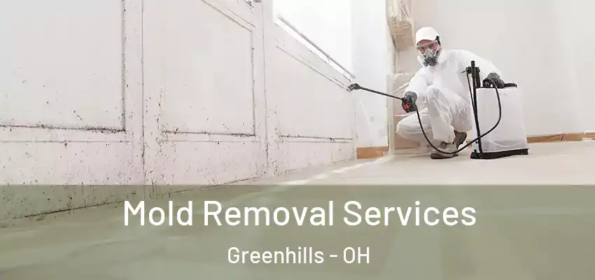 Mold Removal Services Greenhills - OH