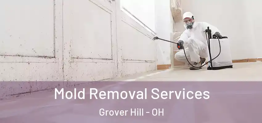 Mold Removal Services Grover Hill - OH