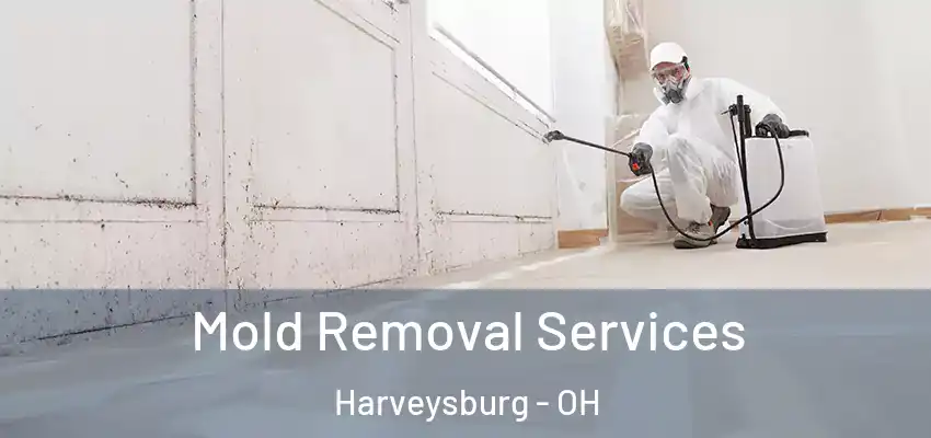 Mold Removal Services Harveysburg - OH