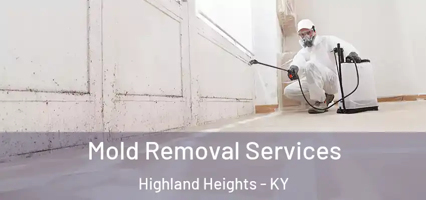 Mold Removal Services Highland Heights - KY