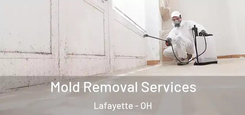 Mold Removal Services Lafayette - OH