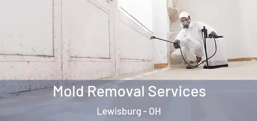 Mold Removal Services Lewisburg - OH