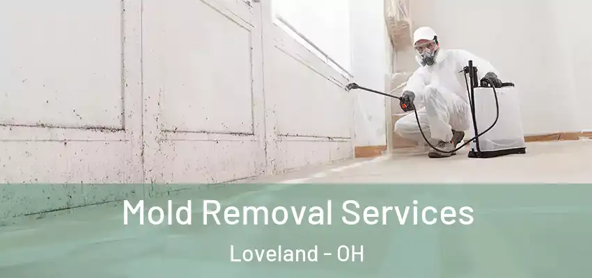  Mold Removal Services Loveland - OH