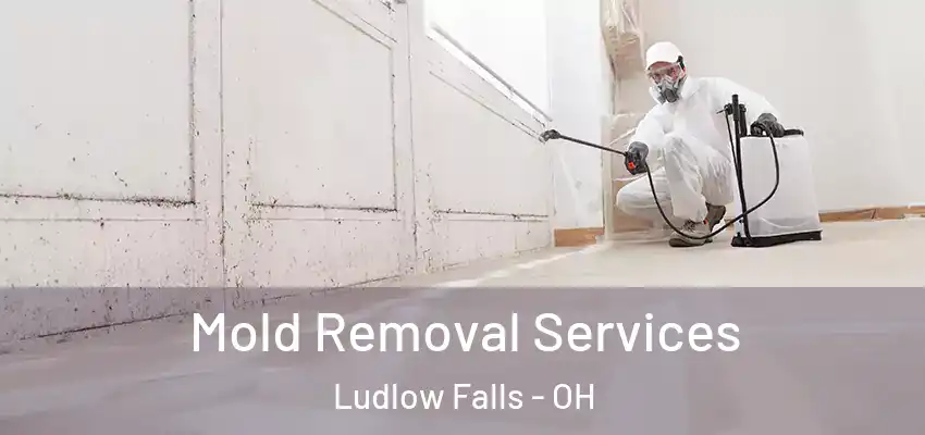 Mold Removal Services Ludlow Falls - OH