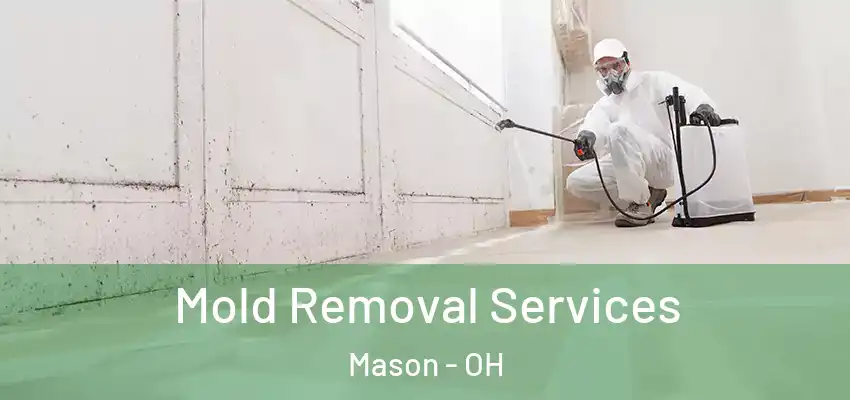 Mold Removal Services Mason - OH