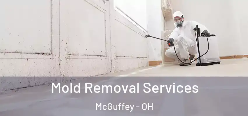 Mold Removal Services McGuffey - OH