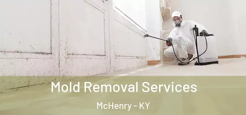 Mold Removal Services McHenry - KY
