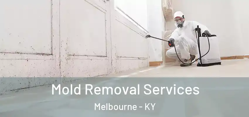  Mold Removal Services Melbourne - KY