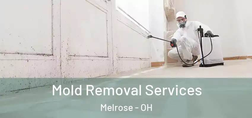 Mold Removal Services Melrose - OH