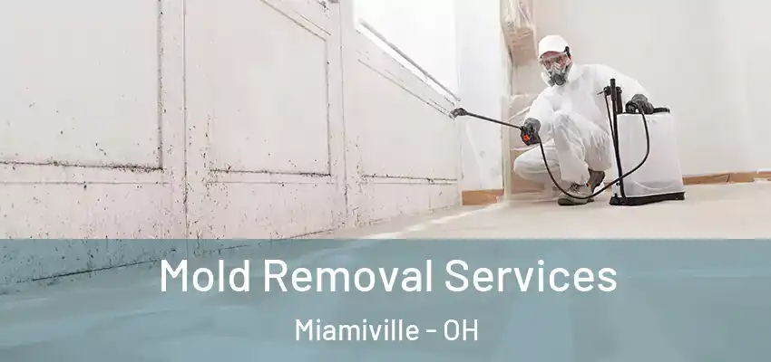  Mold Removal Services Miamiville - OH