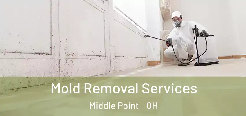 Mold Removal Services Middle Point - OH