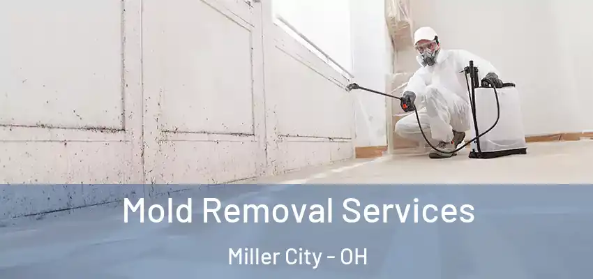 Mold Removal Services Miller City - OH