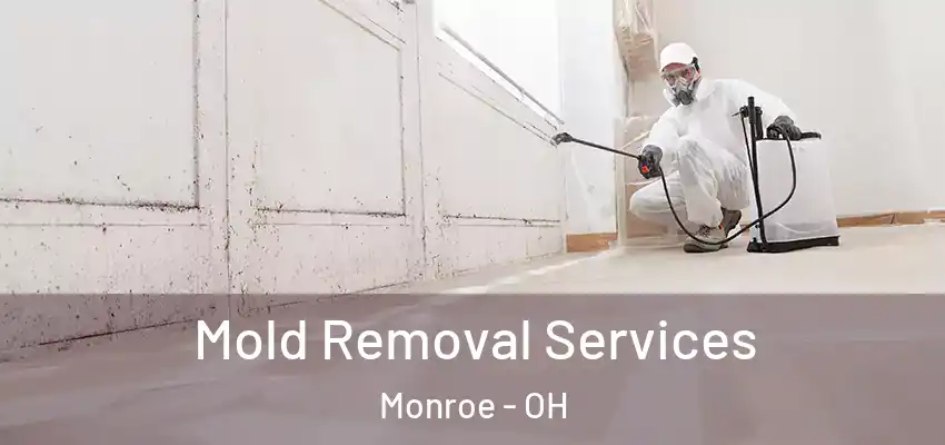 Mold Removal Services Monroe - OH